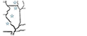 CSDDA Member